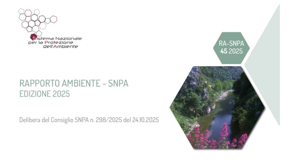 Focus sui National Collaboration Programmes Italiani nel Rapporto Ambiente SNPA 2025